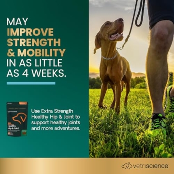 VetriScience Extra Strength Hip & Joint Chews for Dogs