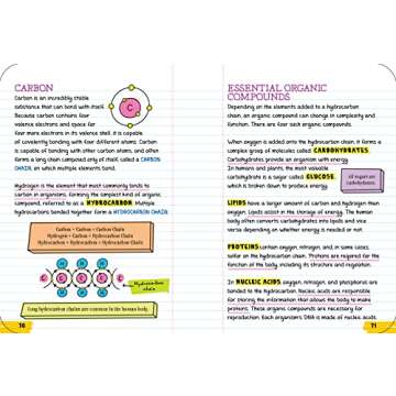 Ace Biology Easily with Our Engaging Notebook