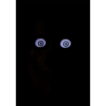 8FT Animated Skeleton Decoration with Motion and Sound