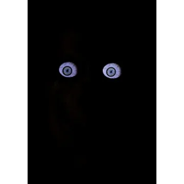 8FT Animated Skeleton Decoration with Motion and Sound