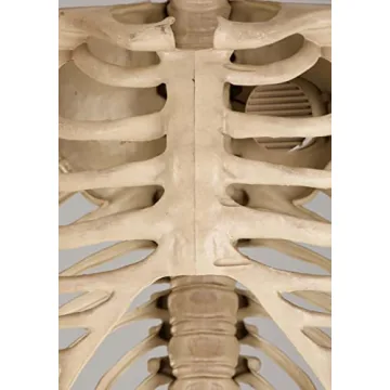 8FT Animated Skeleton Decoration with Motion and Sound