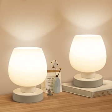 Touch Bedside Table Lamp Set of 2 - Small Modern Table Lamp for Bedroom Living Room Nightstand, 3-Wa...