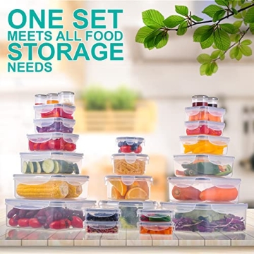 RockBerry 50 Pcs Airtight Food Storage Container Set