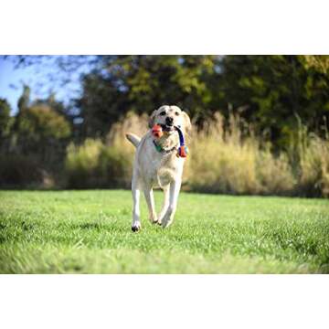 Chuckit! Ultra Duo Tug Dog Toy - Two Ultra Balls on a Durable Nylon Cord Handle - Fetch and Tug-of-W...