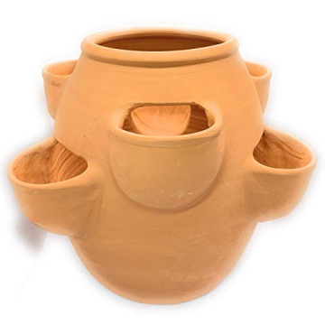 Sun Cakes Large Ceramic Strawberry Planter 32cm