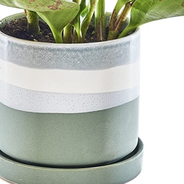 Stylish CHIVE ‘Minute’ Ceramic Planter Pot for Succulents