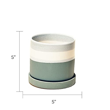 Stylish CHIVE ‘Minute’ Ceramic Planter Pot for Succulents