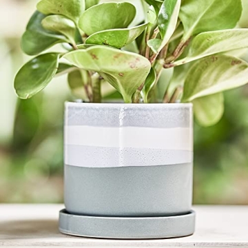 Stylish CHIVE ‘Minute’ Ceramic Planter Pot for Succulents