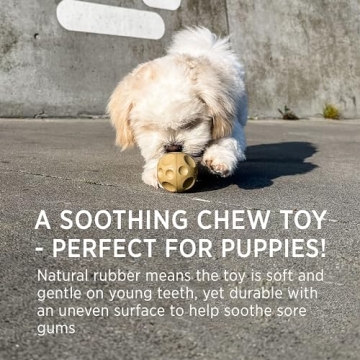 HEVEA Moon Ball Dog Toy - Natural Rubber Fetch & Treat