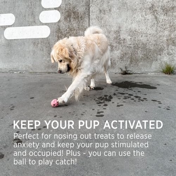 HEVEA Moon Ball Dog Toy - Natural Rubber Fetch & Treat