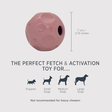 HEVEA Moon Ball Dog Toy - Natural Rubber Fetch & Treat