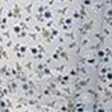 Chloefairy Floral Print Long Sleeve Jumpsuit for Women