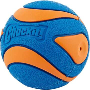 Chuckit! Ultra Ball, Medium 2 Pack Ultra Squeaker Ball 2 Pack