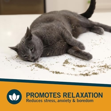 OurPet's Premium Catnip - High Potency Natural Catnip 2.25 oz