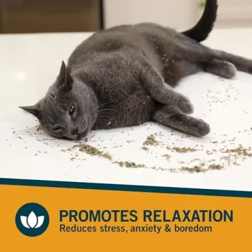 OurPet's Premium Catnip - High Potency Natural Catnip 2.25 oz