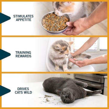 OurPet's Premium Catnip - High Potency Natural Catnip 2.25 oz