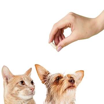 Empty Capsules Size 3 - Clear Gelatin - 1000 Count - Fits Capsule Filling Machine Tray - Joined Beef Gel Caps Easy Snap for DIY Powder Supplement Pills - Certified Halal