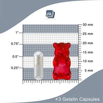 Empty Capsules Size 3 - Clear Gelatin - 1000 Count - Fits Capsule Filling Machine Tray - Joined Beef Gel Caps Easy Snap for DIY Powder Supplement Pills - Certified Halal