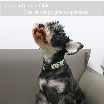 ARING PET Dinosaur Dog Collar - Adjustable Cotton Collar