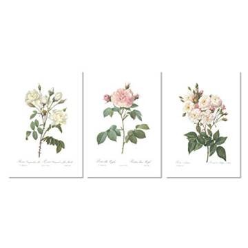 Ink Inc. Vintage Botanical Prints | Roses White Pink Wall Art | Floral Decor | Set of 3 8"x10" Unfra...