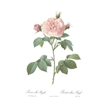 Vintage Botanical Prints Floral Decor Set of 3