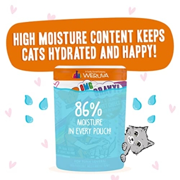 Weruva B.F.F. OMG Tuna & Salmon Pouches for Cats