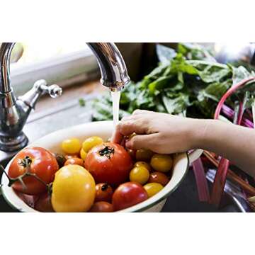 Hydrogen Peroxide 12 Percent (16oz) - Hydrogen Peroxide Cleaner - Dilute and Spray 12% Hydrogen Peroxide on Counters, Bathtubs, Floors or Carpets - Food Grade Hydrogen Peroxide 12 Percent