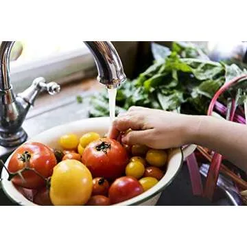 Hydrogen Peroxide 12 Percent (16oz) - Hydrogen Peroxide Cleaner - Dilute and Spray 12% Hydrogen Peroxide on Counters, Bathtubs, Floors or Carpets - Food Grade Hydrogen Peroxide 12 Percent