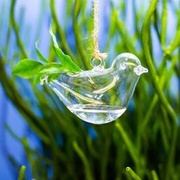 LoveCat Hanging Glass Hydroponic Planter Set, Small Household Plant Pots, Glass Containers, Green Sucullent Plant Terrariums for Bar Home Garden Hotel Decoration (4 Birds)