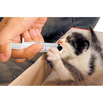 Buy 5ml Plastic Syringes for Pets and Projects in Bulk