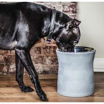 Pet Junkie Santa Fe Single Elevated Dog Bowl Stand with Removable Stainless Steel 44oz Inner Bowl for Medium to Large Breed - Raised Dog Food or Water Station (Large, ICY Gray)