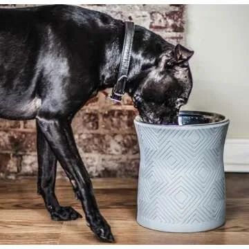 Pet Junkie Santa Fe Single Elevated Dog Bowl Stand with Removable Stainless Steel 44oz Inner Bowl for Medium to Large Breed - Raised Dog Food or Water Station (Large, ICY Gray)