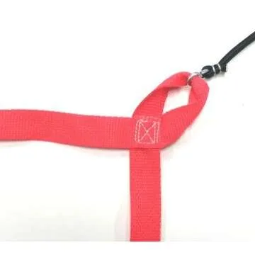 Home Court 30-ft Sand Boundary | Fun for All Ages