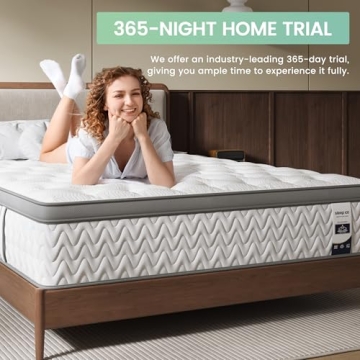 SLEEP100 Queen 12 Inch Hybrid Mattress for Deep Sleep