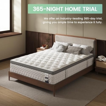 SLEEP100 Queen 12 Inch Hybrid Mattress for Deep Sleep