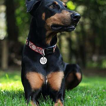 Call My Mom Before She Freaks Out! - Unique Pet Id Tag - Dog Tag - Cat Tag (Small Keyring)