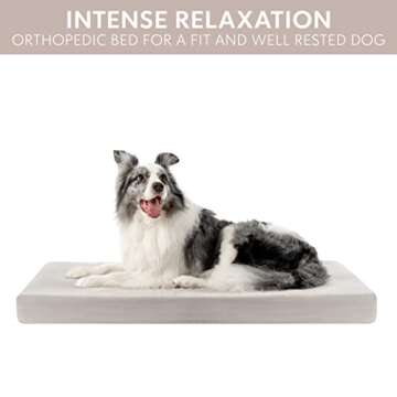 Memory Foam Dog Bed (High Density) - Orthopedic Dog Bed Insert for Large Dogs and Small, Medium, Extra Large Dogs - 5 Bed Sizes from Puppy to 100lbs Dog - Temperature Regulating Cooling Bed - L