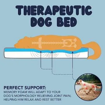 Memory Foam Dog Bed (High Density) - Orthopedic Dog Bed Insert for Large Dogs and Small, Medium, Extra Large Dogs - 5 Bed Sizes from Puppy to 100lbs Dog - Temperature Regulating Cooling Bed - L