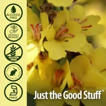 Nature's Answer Alcohol-Free Mullein Flower Ear Oil