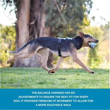Blue-9 No-Pull Balance Harness for Dogs - Premium Comfort