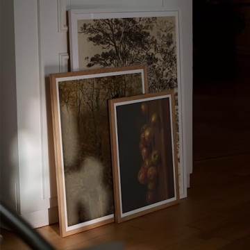 Vintage Posters for Room Aesthetic - Set of 5 Stunning Prints