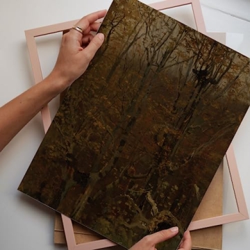 Vintage Posters for Room Aesthetic - Set of 5 Stunning Prints