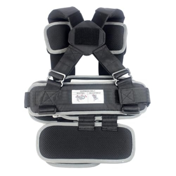 RideSafer Extra Small Black Portable Car Seat for Travel Safety
