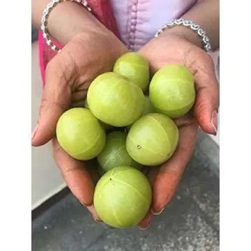 Pure Indian Foods Organic Amla Powder, 8 oz, Water-Soluble Amalaki, Ayurveda Dietary Supplement Dissolves Completely in Water, Perfect for Capsules