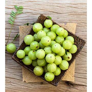 Pure Indian Foods Organic Amla Powder, 8 oz, Water-Soluble Amalaki, Ayurveda Dietary Supplement Dissolves Completely in Water, Perfect for Capsules