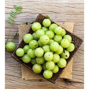 Pure Indian Foods Organic Amla Powder, 8 oz, Water-Soluble Amalaki, Ayurveda Dietary Supplement Dissolves Completely in Water, Perfect for Capsules