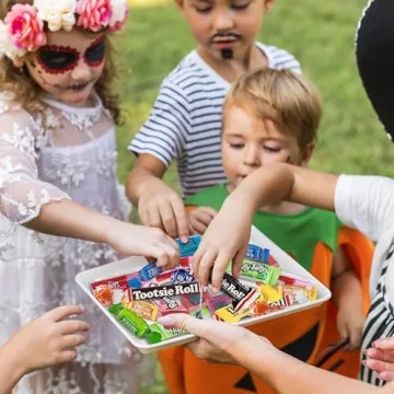 Assorted Bulk Candy Variety Pack for Parties