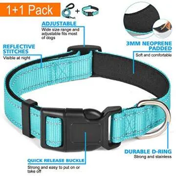 Ladoogo Reflective Dog Collar with Bonus Leash - Comfortable & Durable