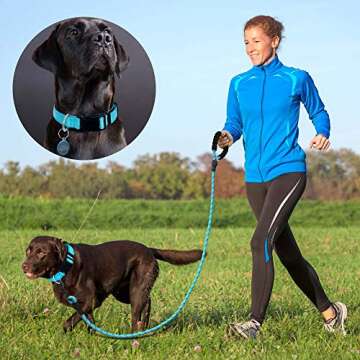 Ladoogo Reflective Dog Collar with Bonus Leash - Comfortable & Durable