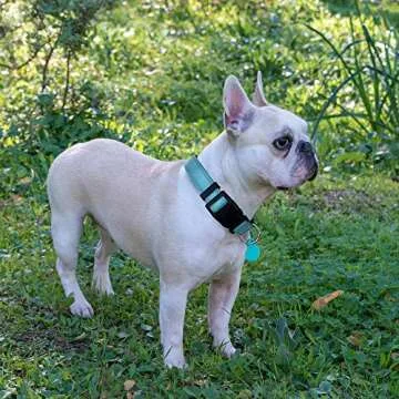 Ladoogo Reflective Dog Collar with Bonus Leash - Comfortable & Durable